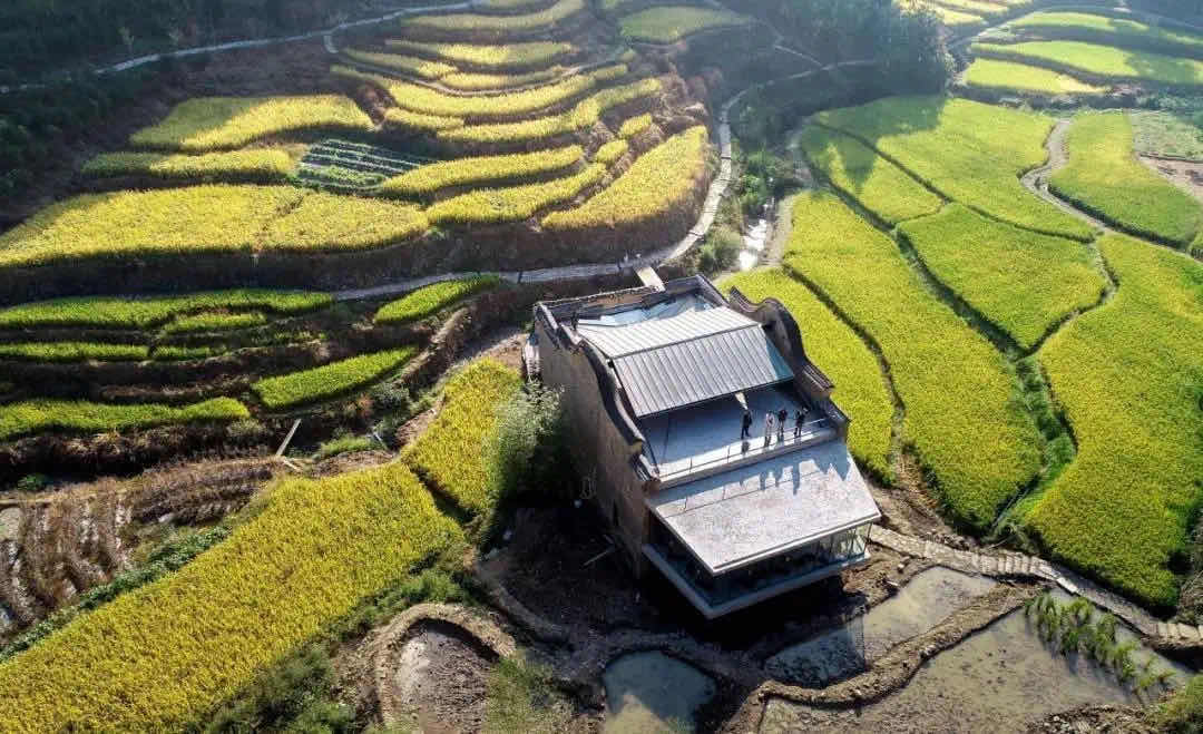 社会广角 - 屏南新闻网