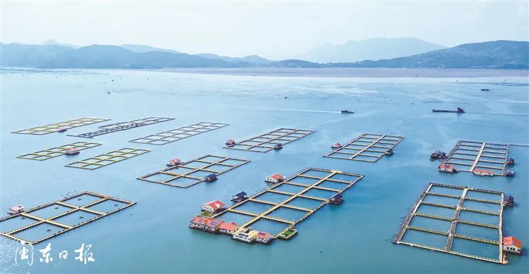 依托海洋资源,我市牢牢抓住蓝色经济发展战略契机,不断加速海洋产业